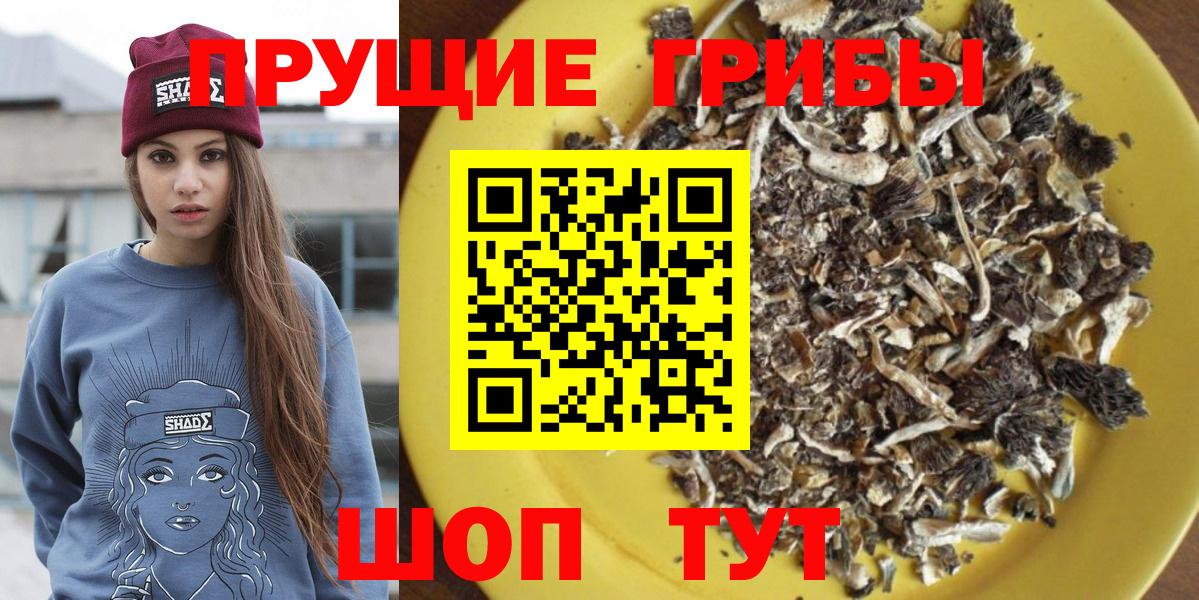 цены   Псилоцибиновые грибы GOLDEN TEACHER  Вход с VPN  Наро-Фоминск 