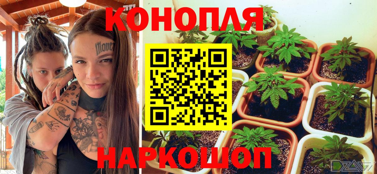 Конопля гибрид  Вход с VPN  Наро-Фоминск  Марихуана гибрид 